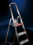 Altrex trapladder